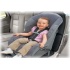 car_seat_cleaning1