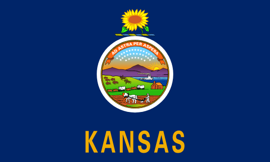 Kansas's Local State Flag.
