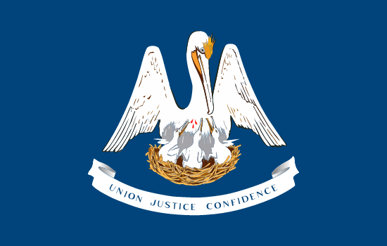 Louisiana's Local State Flag.