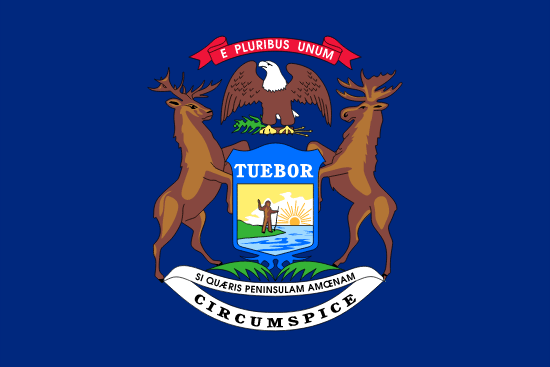 Michigan's Local State Flag.