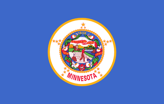 Minnesota's Local State Flag.