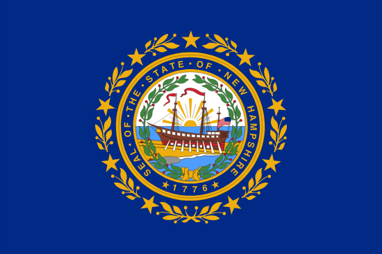 New Hampshire's Local State Flag.