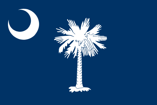 South Carolina's Local State Flag.